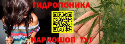 стаф Новокубанск