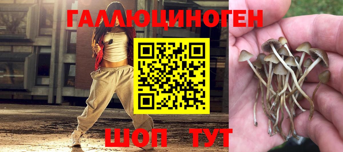 Галлюциногенные грибы GOLDEN TEACHER Астрахань