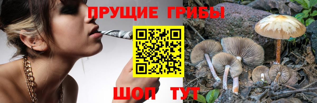 Псилоцибиновые грибы мицелий  Псилоцибиновые грибы GOLDEN TEACHER  Вход с VPN  Астрахань 